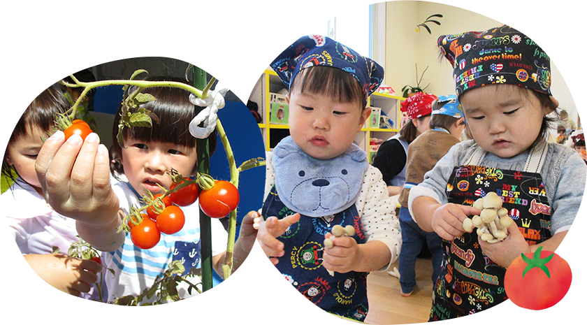 イメージ:食育活動の様子